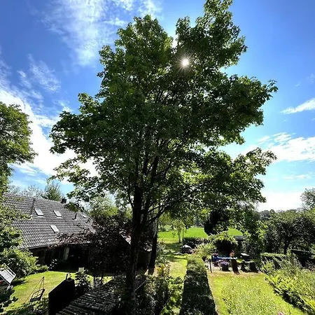 Willem's Laren (Gelderland)