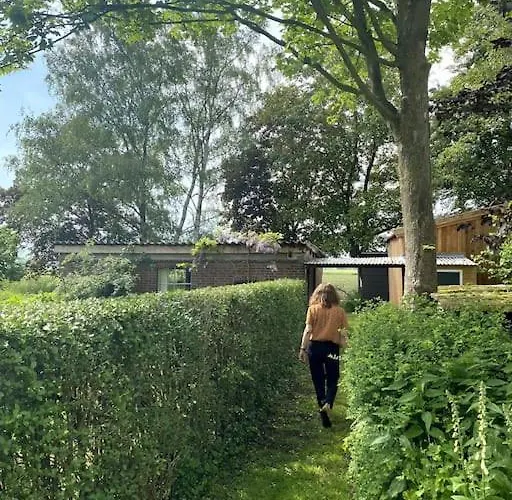 Prázdninový dům Willem's Laren (Gelderland)